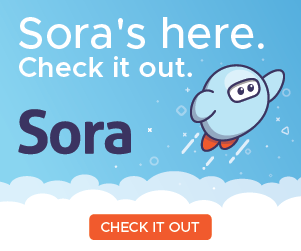 Sora_300x250_2